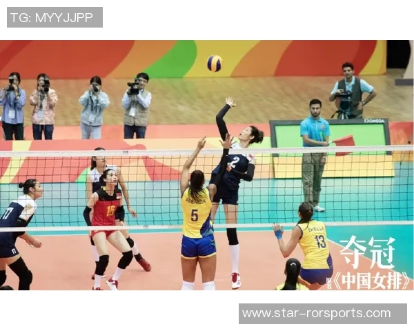 体育实时数据黄娜倾情分享排球技巧与心得助你提升竞技水平与团队配合能力